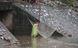 Bất chấp nguy hiểm người dân dùng kích điện bắt cá trên sông Kim Ngưu